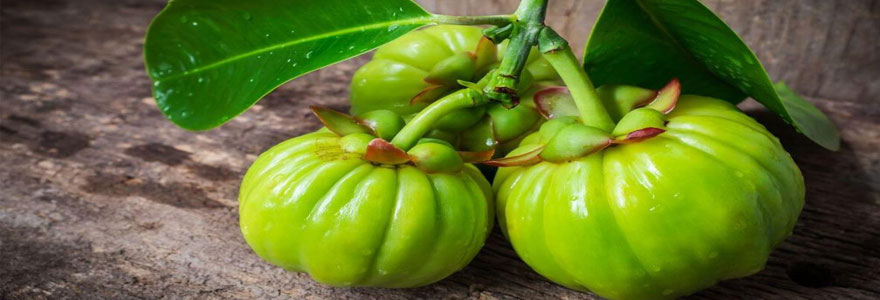 Garcinia Cambogia