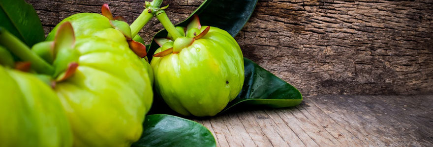 Les vertus médicinales du Garcinia Cambogia