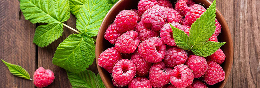 Les bienfaits de la framboise sur la peau